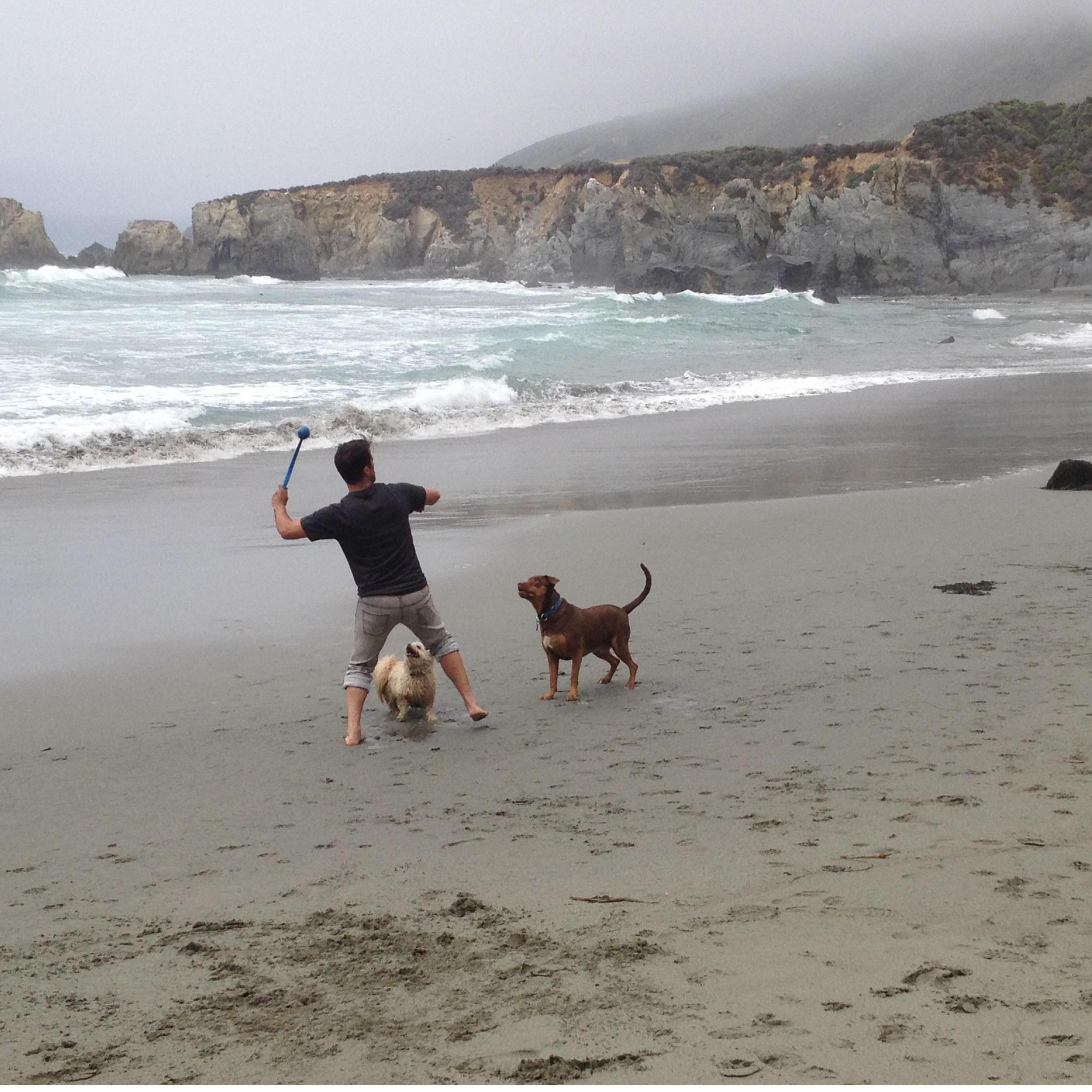 Beach Fetch Fun with Conrad and Daisy - 2013