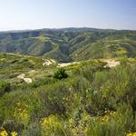 Laguna Coast Wilderness Park