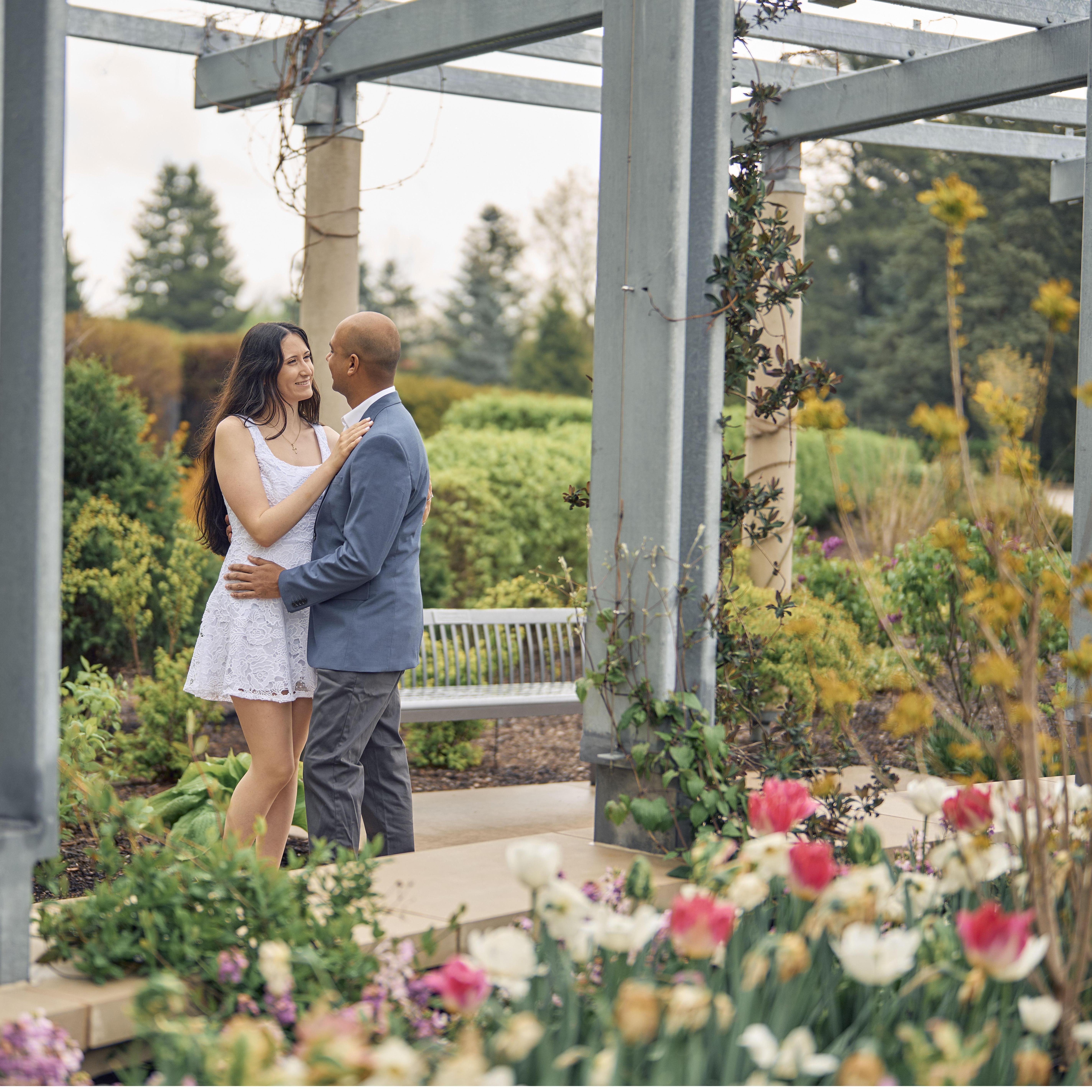 Morton Arboretum
