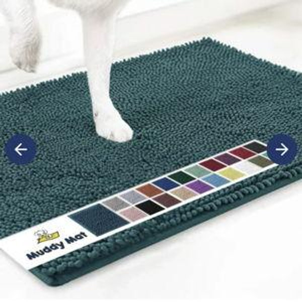 Anti-Mud Dog Door Mat (Muddy Mat)