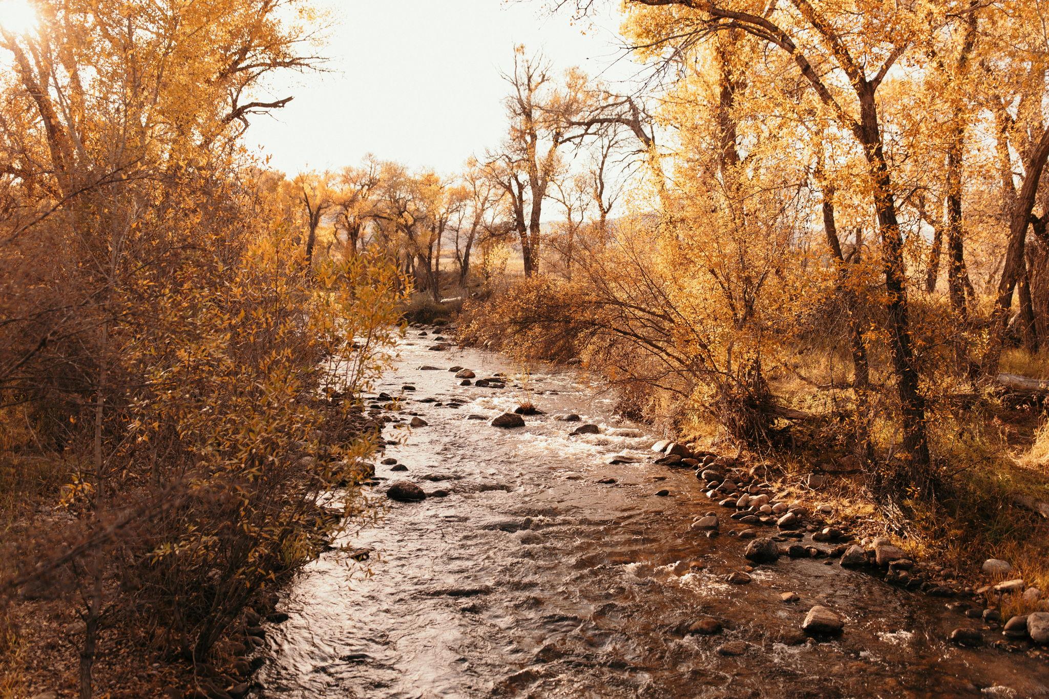 The Wedding Website of Brianna Hall and Trevor Bangs