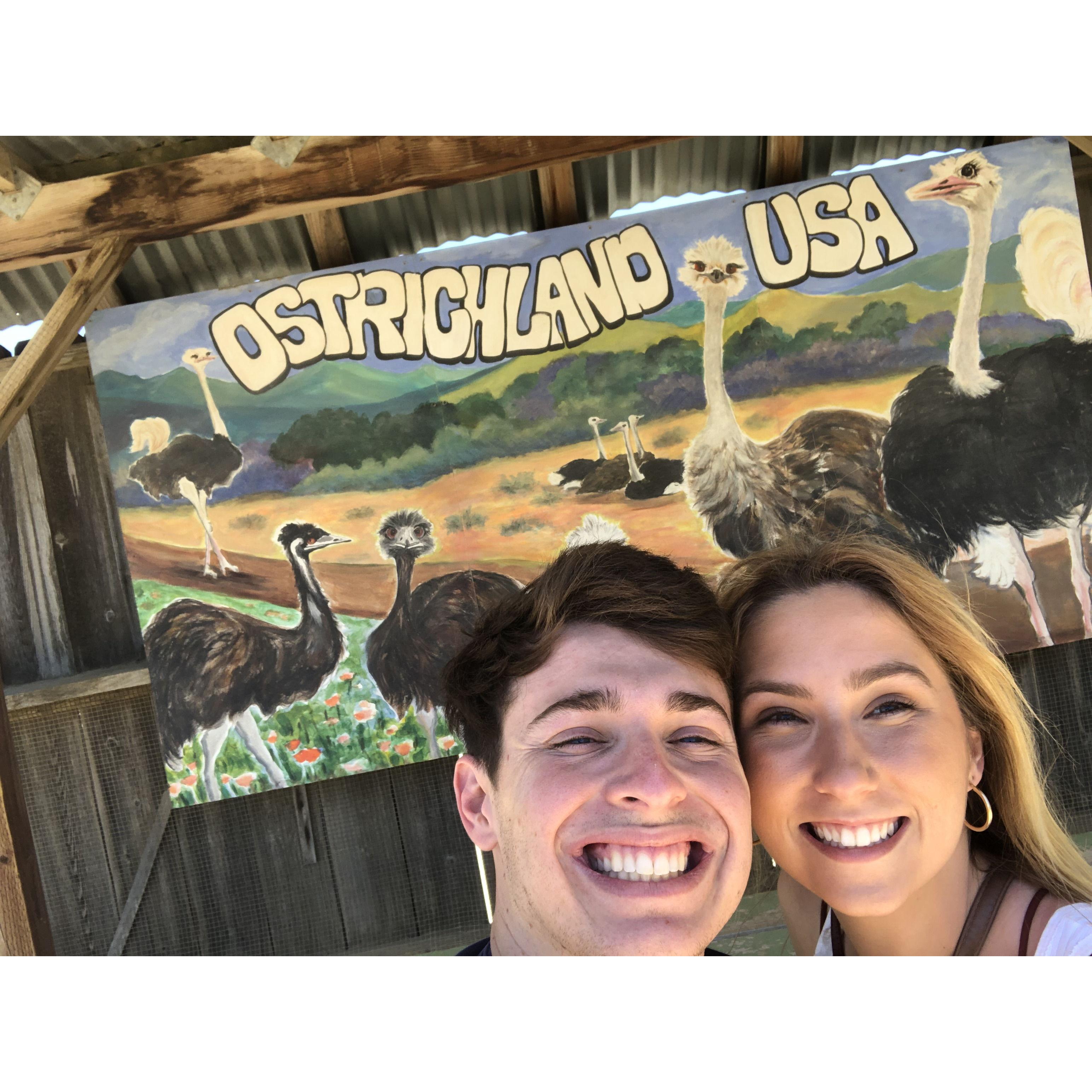 Going wine tasting in Solvang and visiting Ostrich Land (Jake's idea) for Jake's 23 birthday!