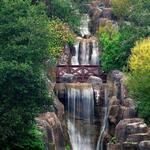 Golden Gate Park