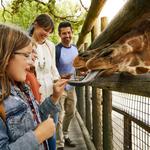 Dickerson Park Zoo