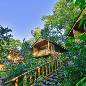 Uganda - Bwindi Hotel (pay with credit card)