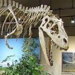 Dickinson Museum Center & Badlands Dinosaur Museum