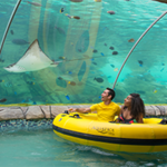SeaWorld San Antonio