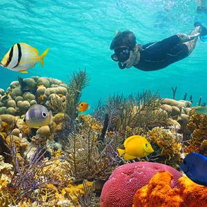 Cano Island Guided Snorkeling Trip