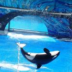 SeaWorld San Diego