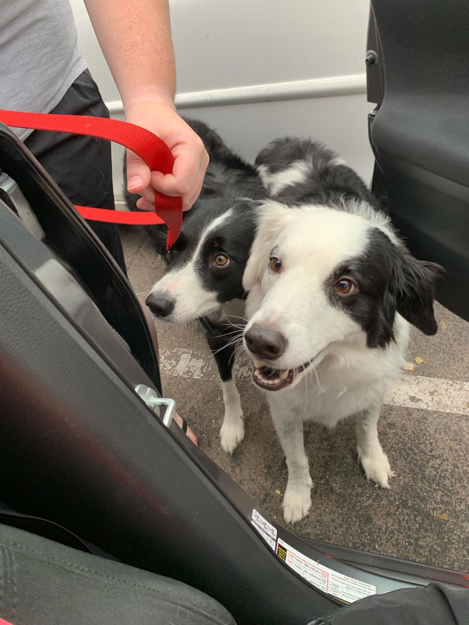 The boys telling Ivy a tearful goodbye as she heads back to Texas and we are apart once again . . .