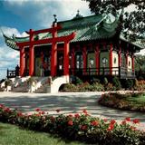 The Chinese Tea House