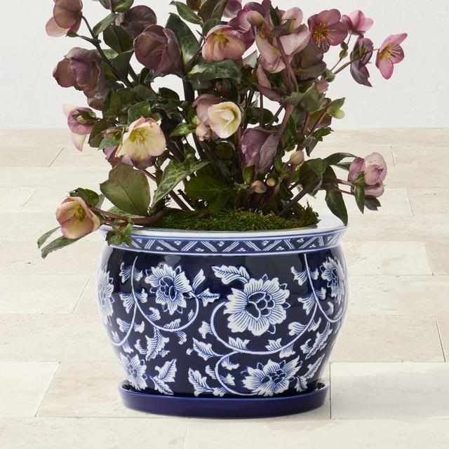 Blue and White Ceramic Planter Medium with Tray