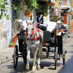 Take a romantic horse carriage ride