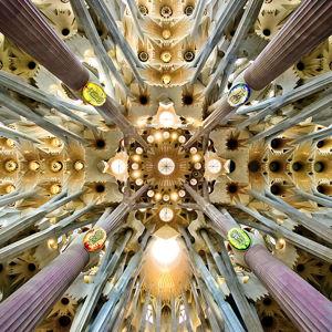 Honeymoon Event - Entry and Tour of La Sagrada Familia in Barcelona