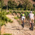 Borgo Divino offers a range of activities for guests to sign up for, including: