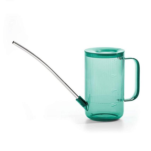 DR.UANG Watering Can for Indoor Plants with Long Spout Stainless Steel (Detachable) Small 1L/34oz Rainbow Plastic Small Watering Cans for Succulents/Airplants/Houseplants/Outdoor/Gardening (Emerald)