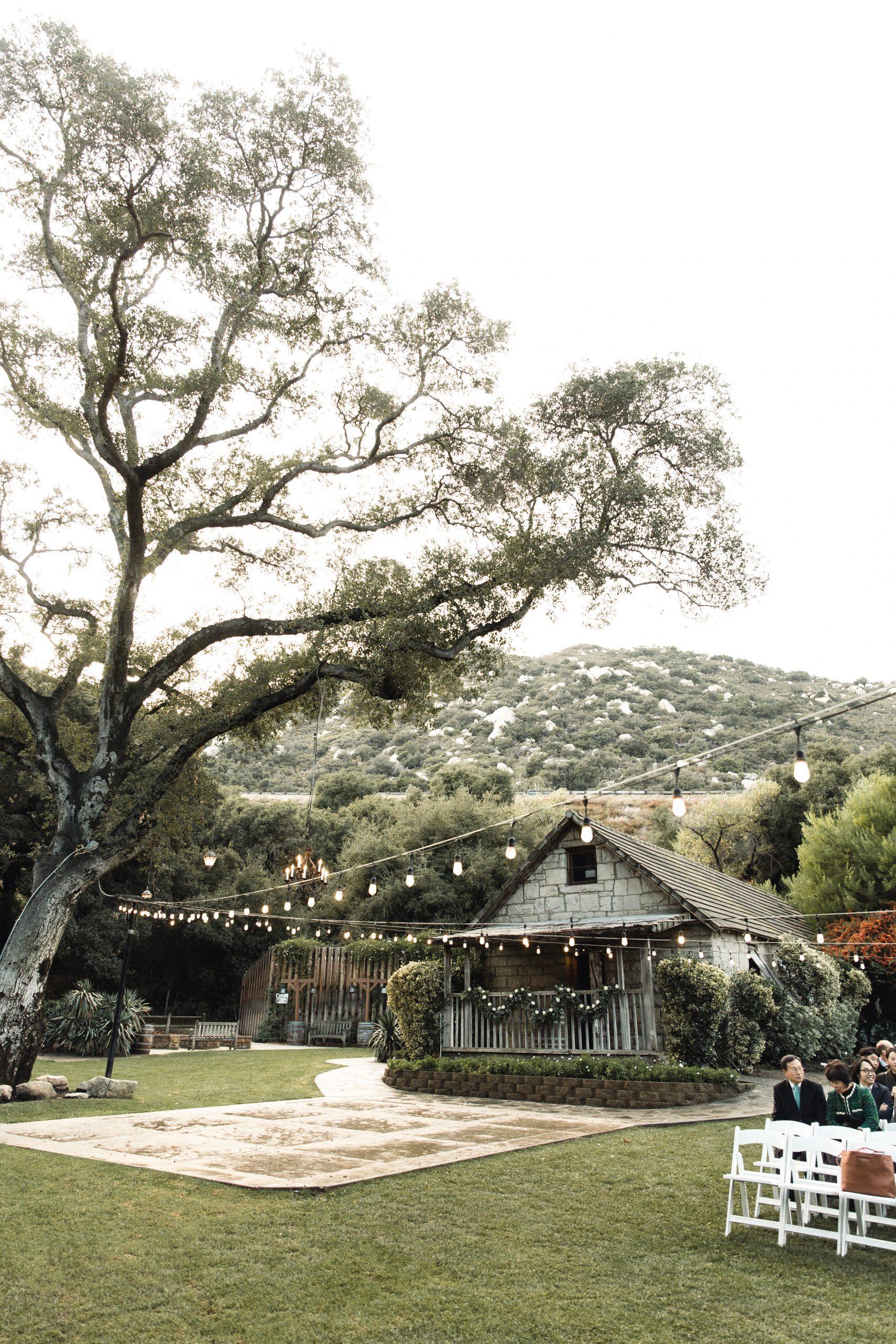 The Wedding Website of Lexi Vasquez and Zachery Alexander