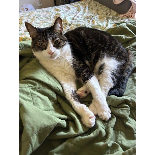 We don't have a kid, but we do have the cutest cat in the world (we're very unbiased).