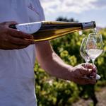 Vineyard : Le Moulin de la Touche