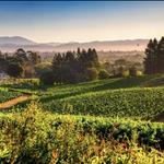 Lynmar Estate Winery