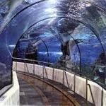 South Carolina Aquarium
