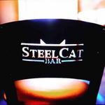 Steel Cat Bar