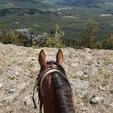 Horseback Riding