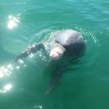 Boca Boat Cruises