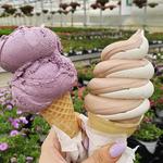 Samascott's Garden Market