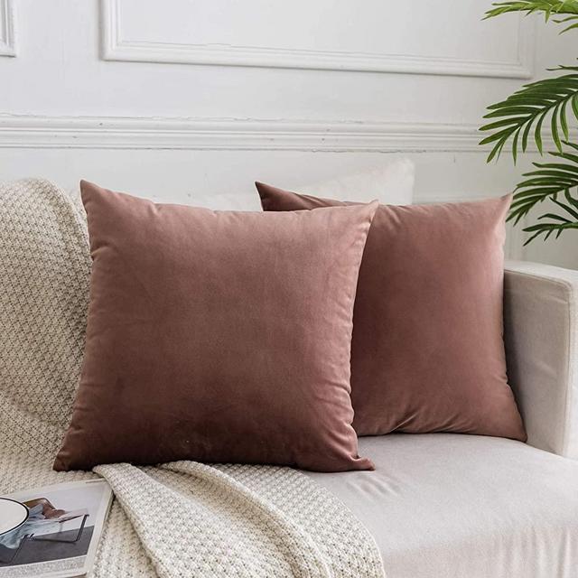 JUSPURBET Decorative Velvet Throw Pillows Covers for Couch Bed Sofa,Pack of 2 Luxury Solid Soft Cushion Cases,26x26 Inches,Jam