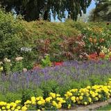 Point Defiance Park