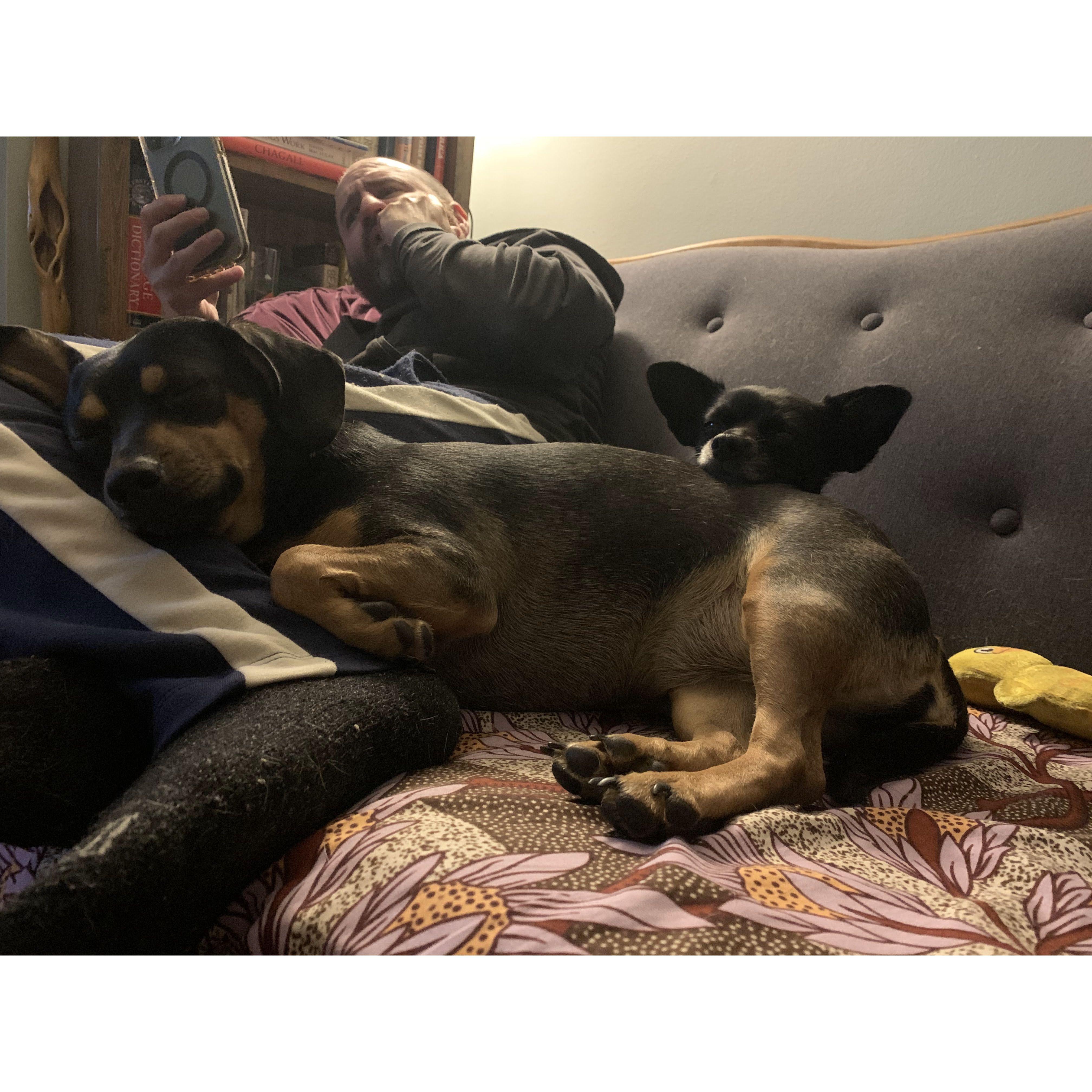 Look, it's like you're right in our living room