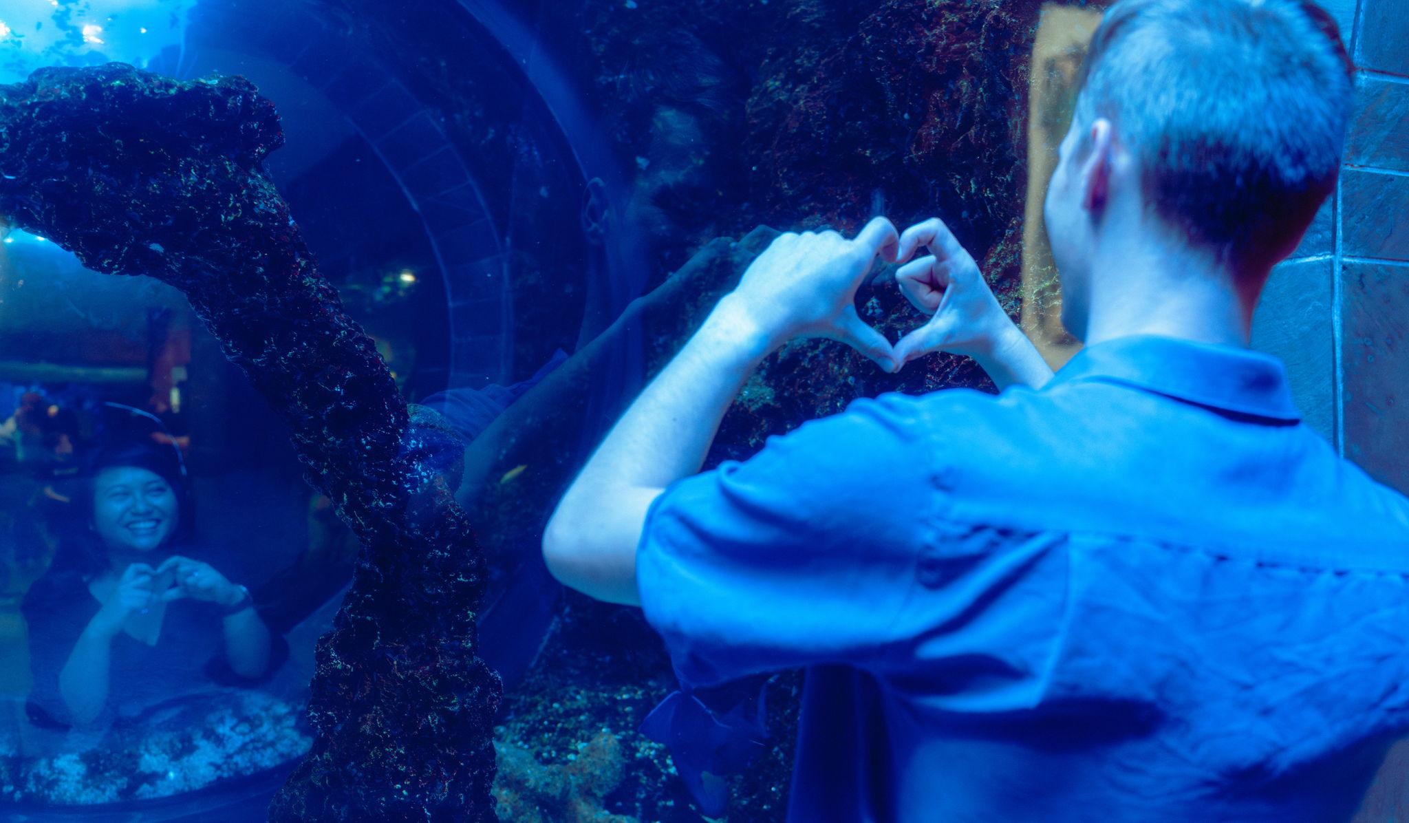 Hero Slideshow Image 2