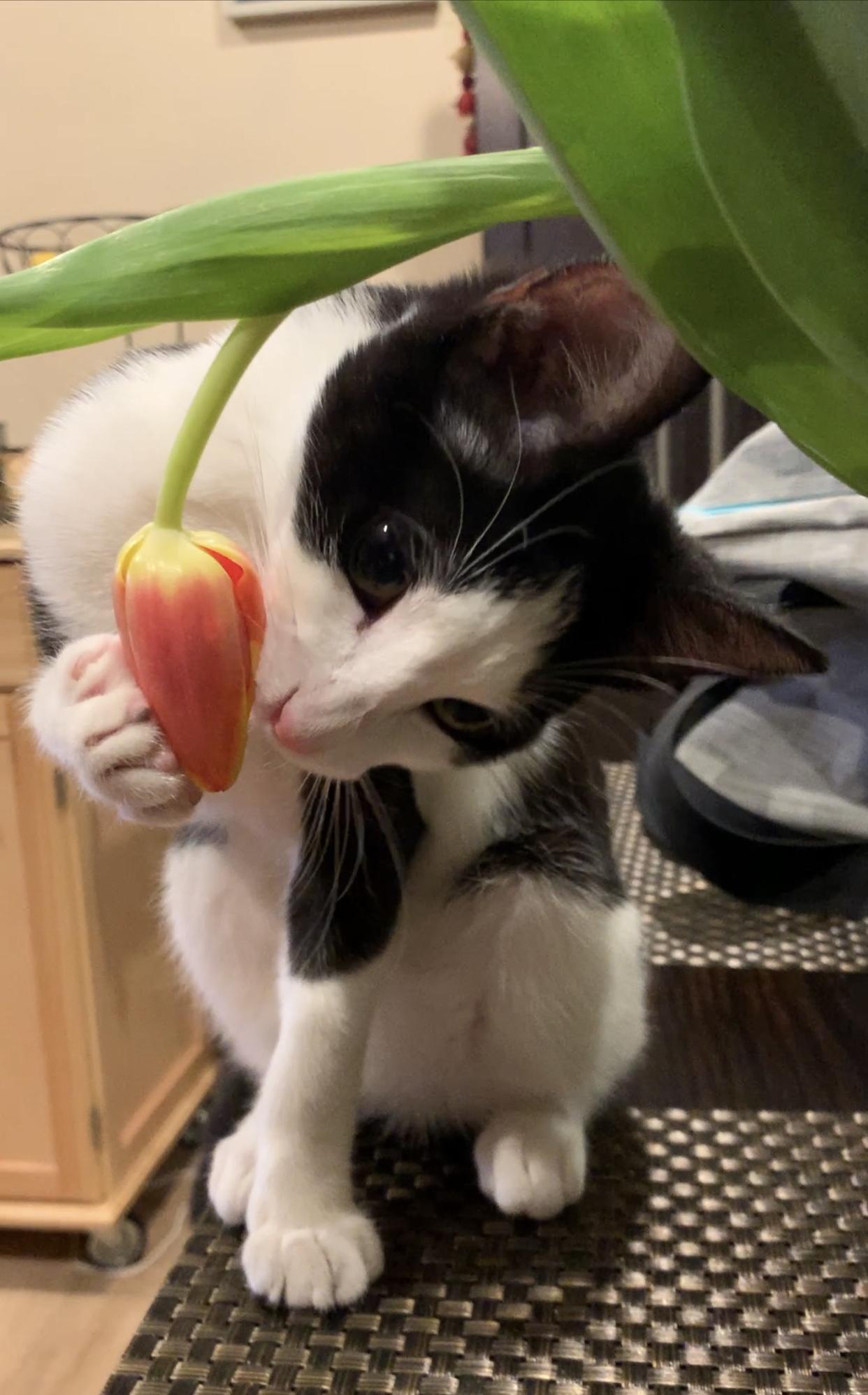 The Wedding Website of Danielle Dagilis and Jeff Gunn