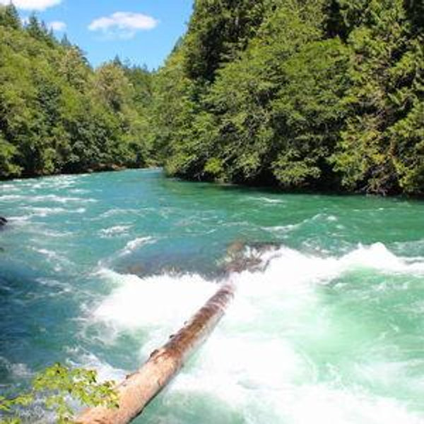 Skagit river Whitewater rafting for 2