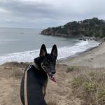 Muir Beach