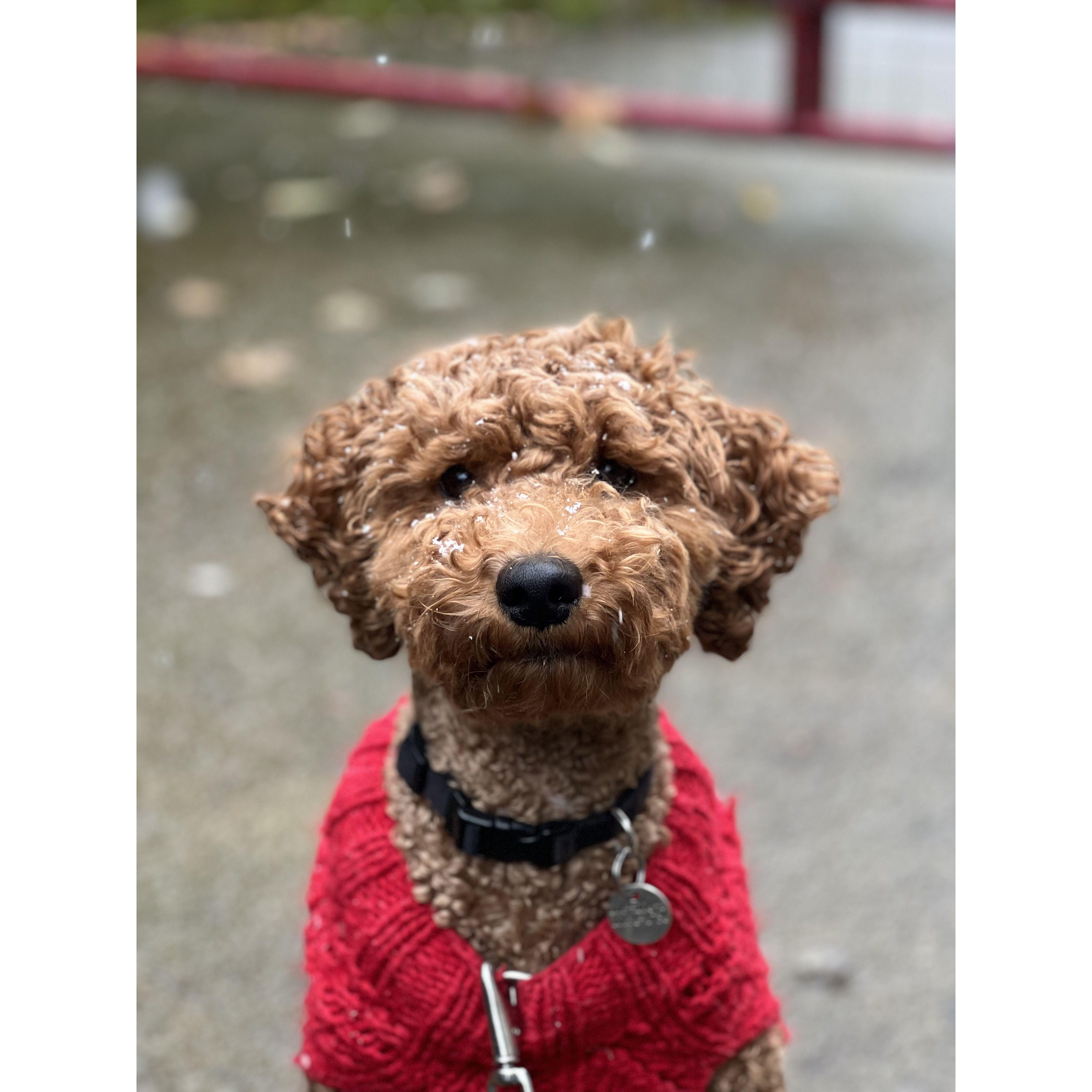 Captain