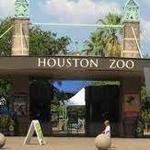 Houston Zoo