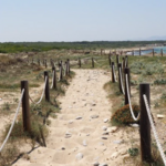 Hiking - Son Serra de Marina