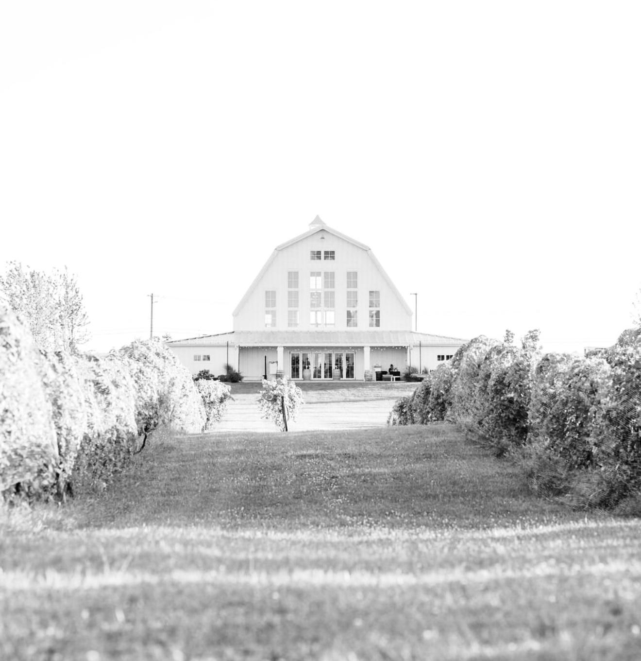 The Wedding Website of Lauren McDonel and Jake Henneman