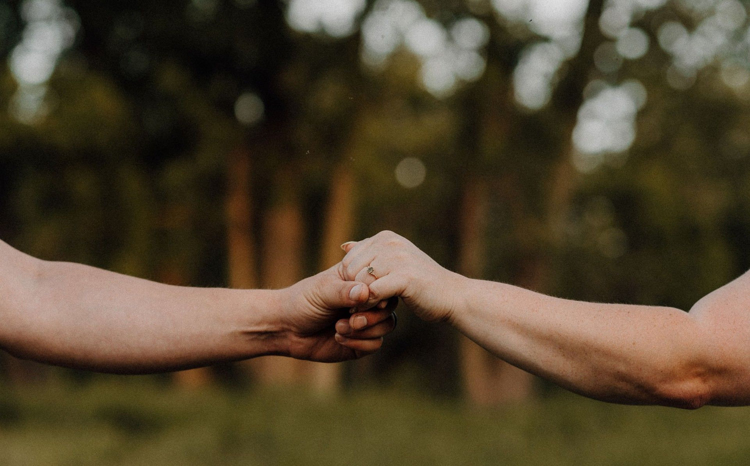 The Wedding Website of Shelby Harmon and Nicholas Bourgeois
