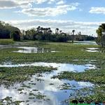 Orlando Wetlands