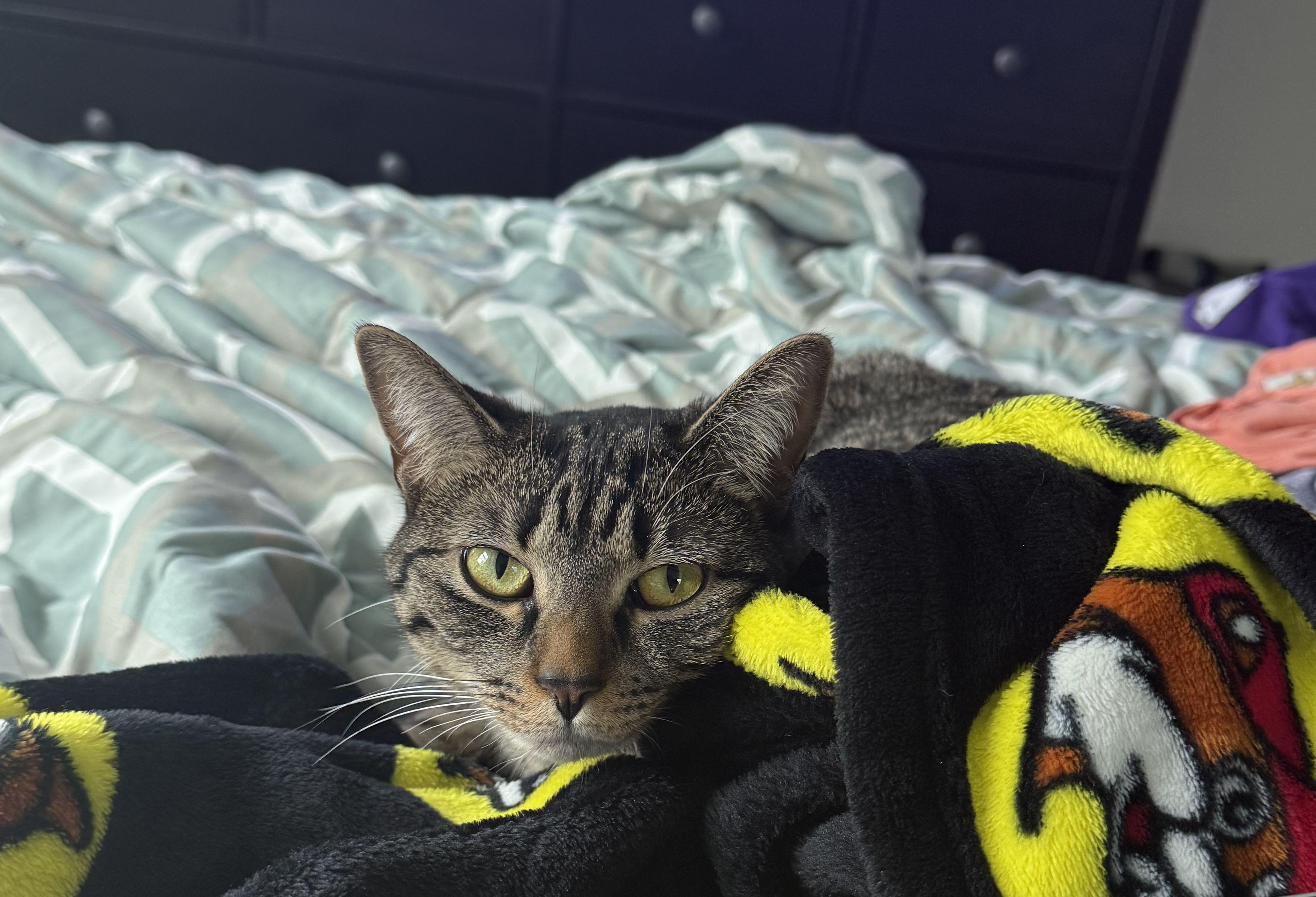 The Wedding Website of Ashley Hvidhyld and Benjamin Slade