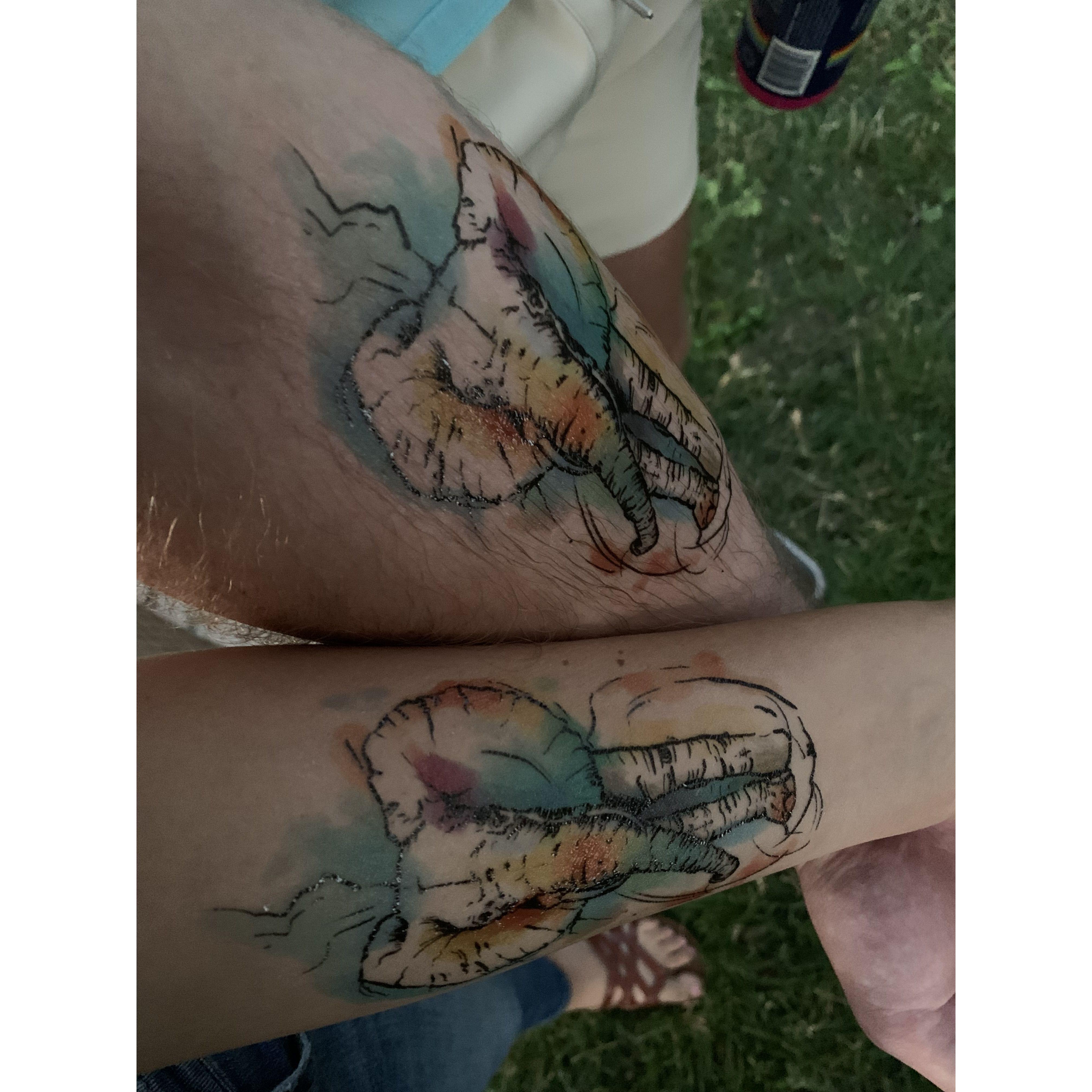 Where it all started! Our first date was at Hogle's ZooBrew