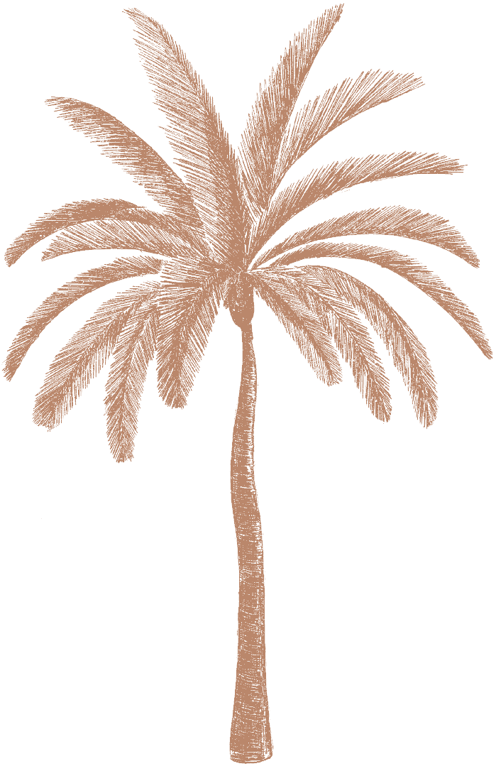 palm