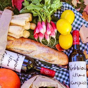 Vineyard picnic set for two