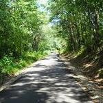 Swamp Rabbit Trail