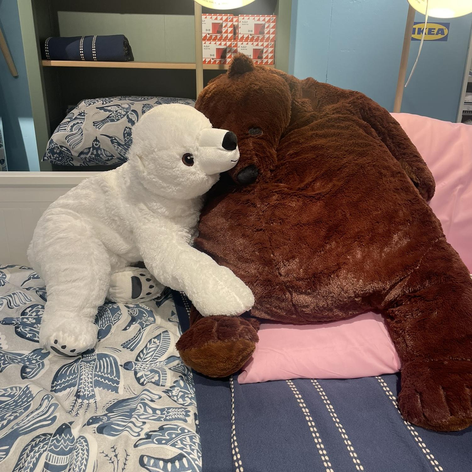 Benjamin put White Bear next to the Brown Bear!