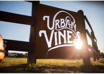 Urban Vines Winery & Brewery