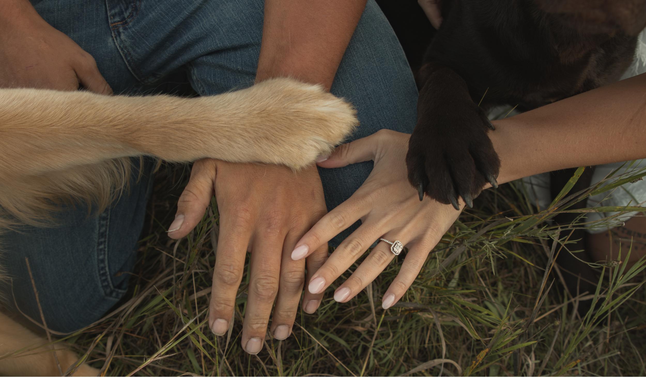 The Wedding Website of Morgan Krejcarek and Jack Wittig